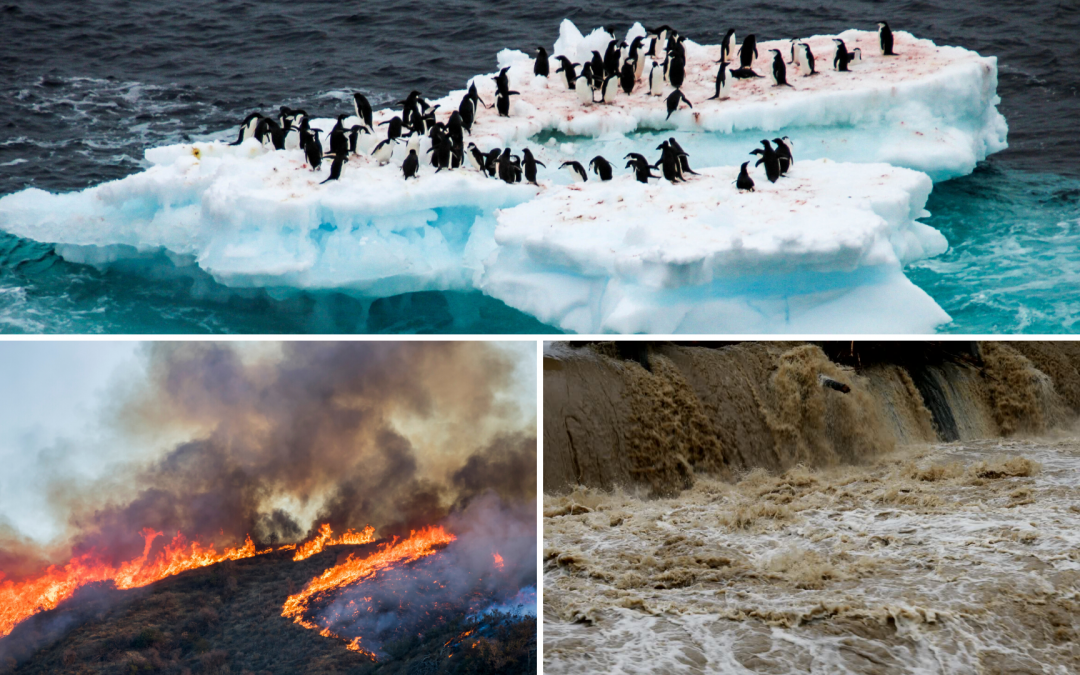 Energías renovables: Una alternativa al cambio climático.