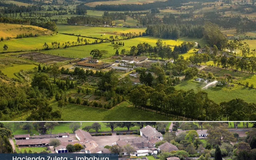 De la idea a la realidad: Mi camino hacia las Energías Renovables.